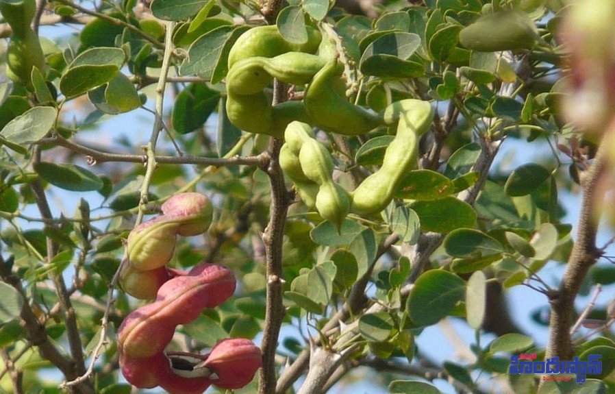 అందంతో అద్భుతం చేయాలా..   - Additional Image